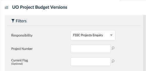 uo project budget versions